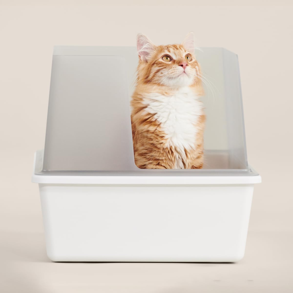 High Sided Cat Litter Box Open Top Anti-Stick Plastic White/Gray I607