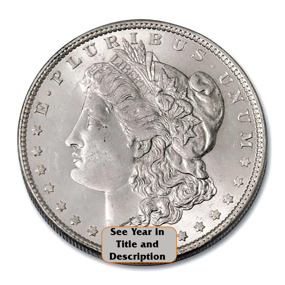 Morgan Silver Dollar E219