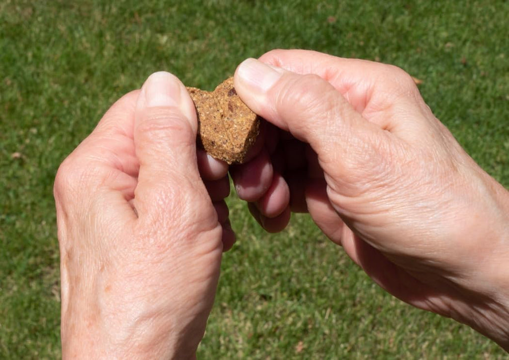 Roasted Duck Grain Free Dog Treats 2-Pack 36oz T9424