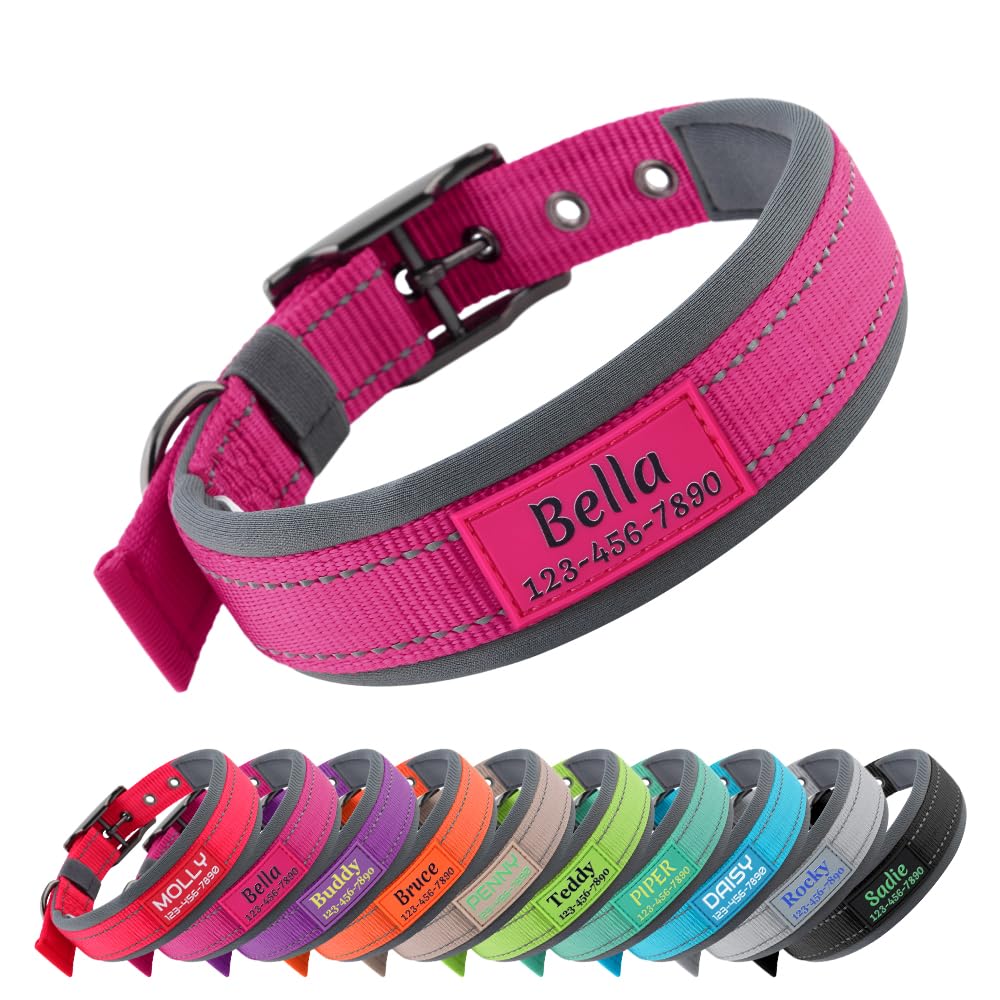 Personalized Dog Collar with Name and Number D916307