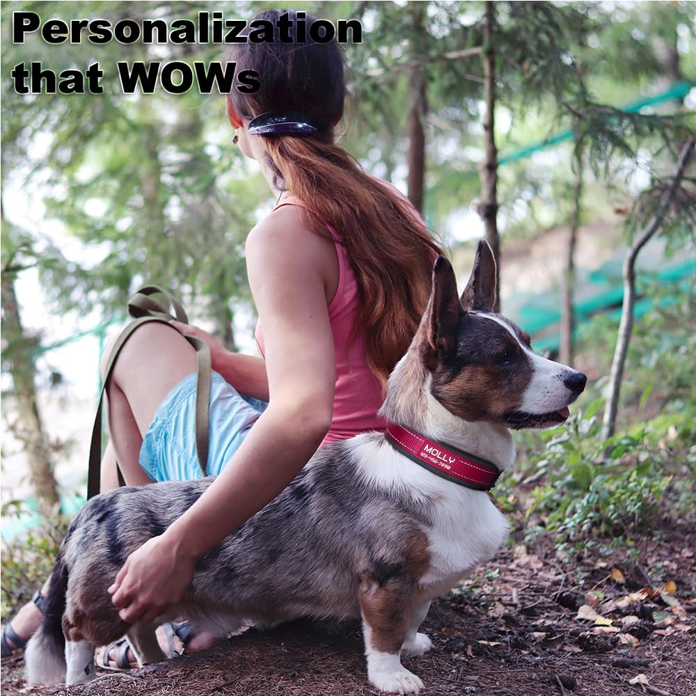 Personalized Dog Collar with Name and Number D916307