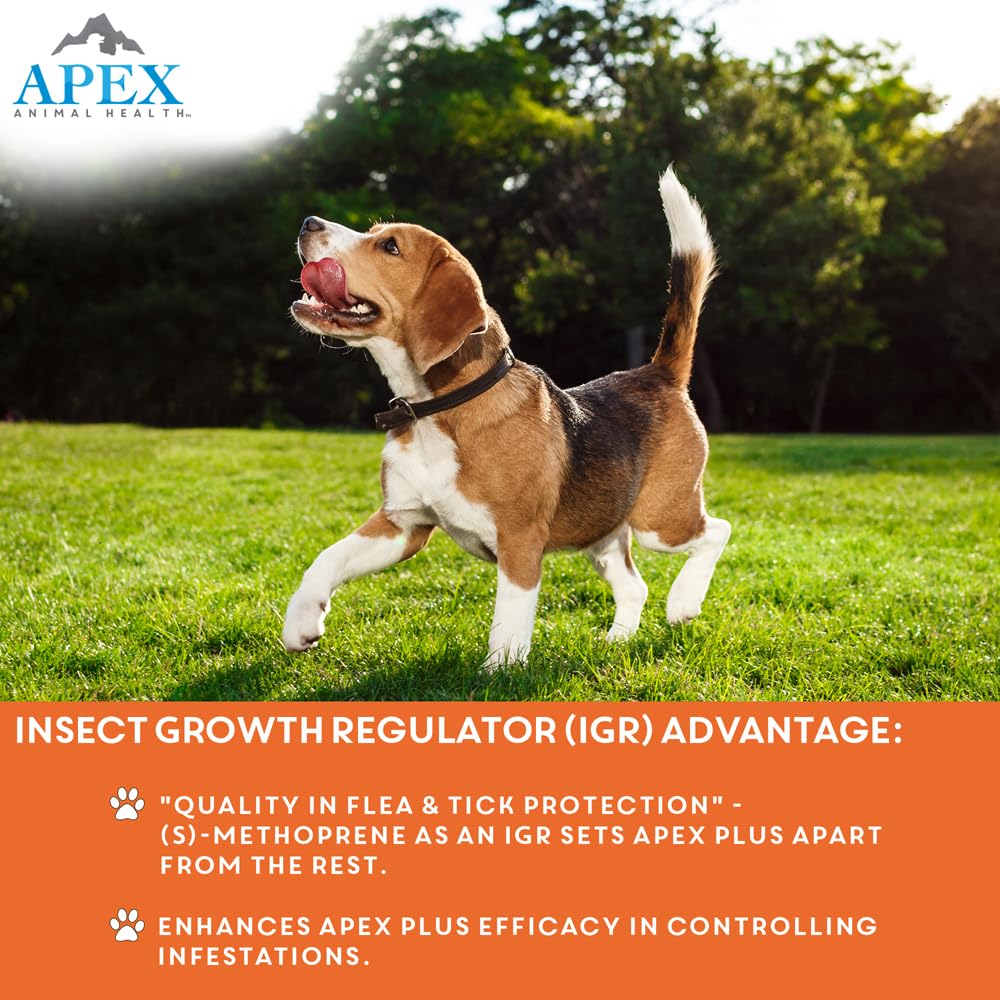 Flea & Tick Prevention for Small Dogs 3-Month Supply J7707
