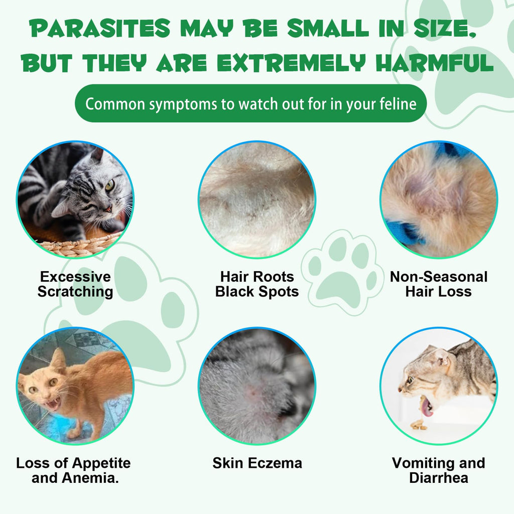 Probiotic Digestive Support for Cats J824859
