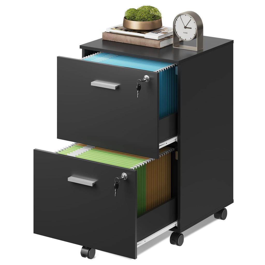 2 Drawer Wood File Cabinet with Lock, Black U8295