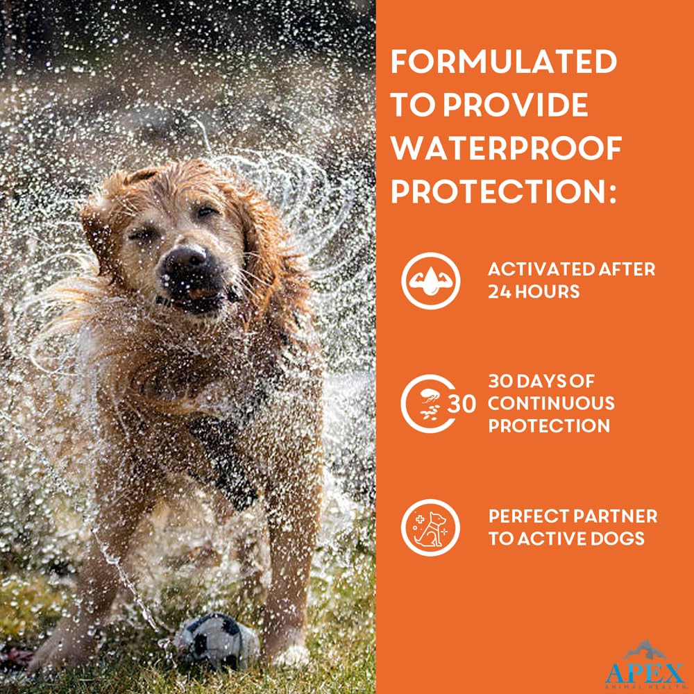 Flea & Tick Prevention for Small Dogs 3-Month Supply J7707