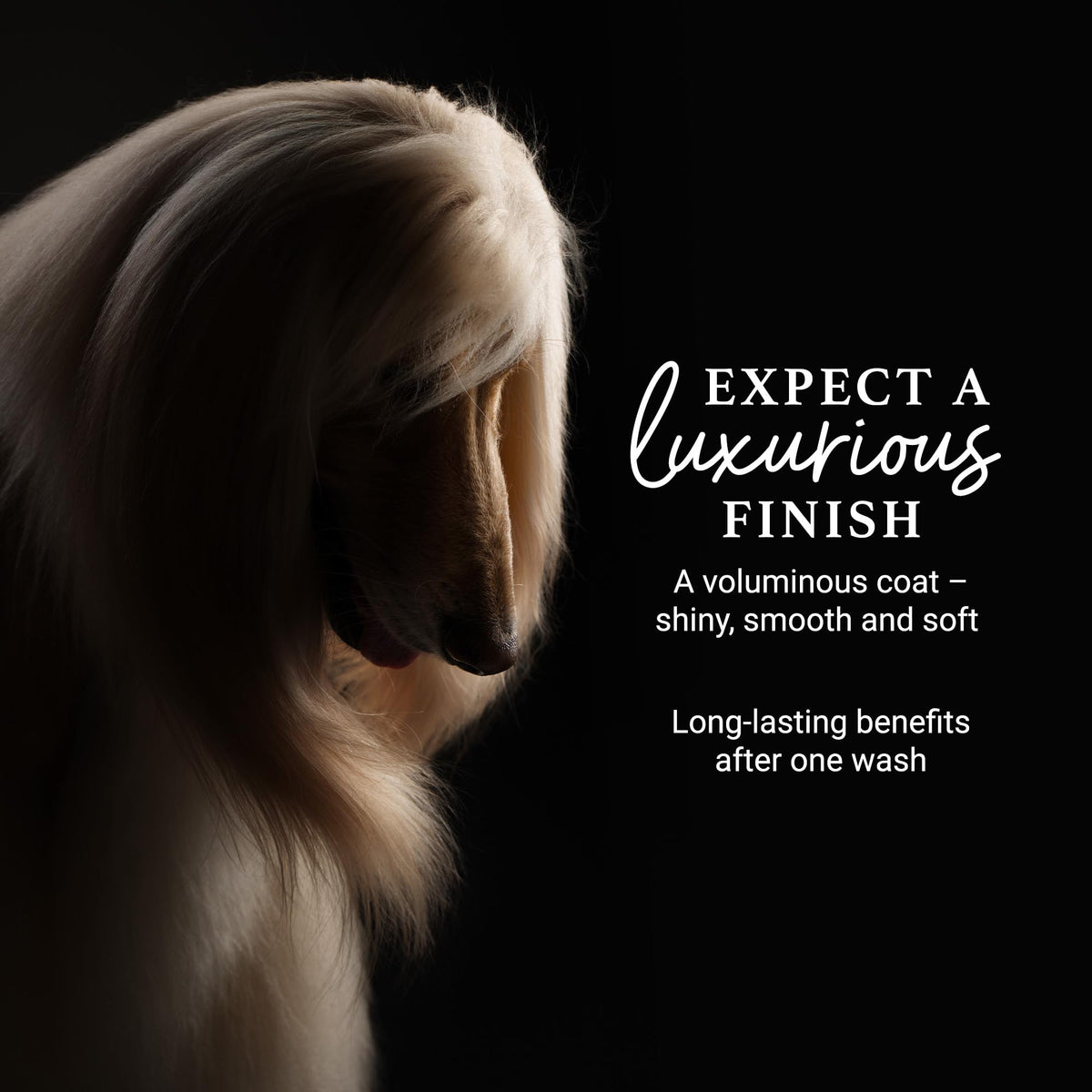 Deshedding & Detangling Dog Shampoo 1 GAL D9983