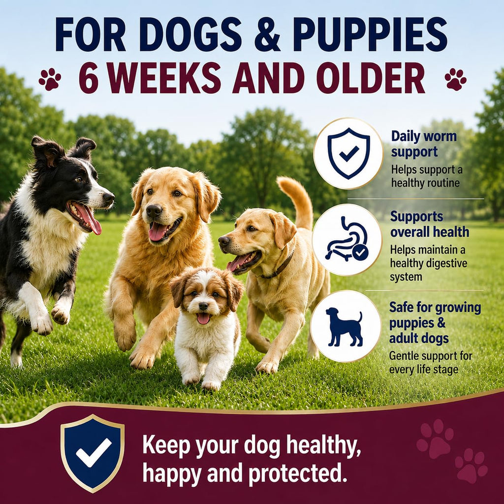 Dewormer for Dogs, 50 Tablets R166