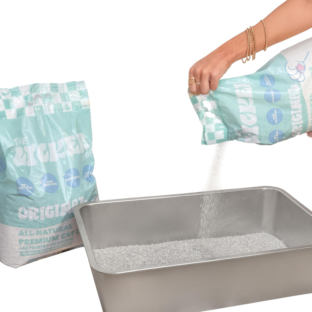 Unscented Clumping Bentonite Clay Cat Litter Set of 2 F22526