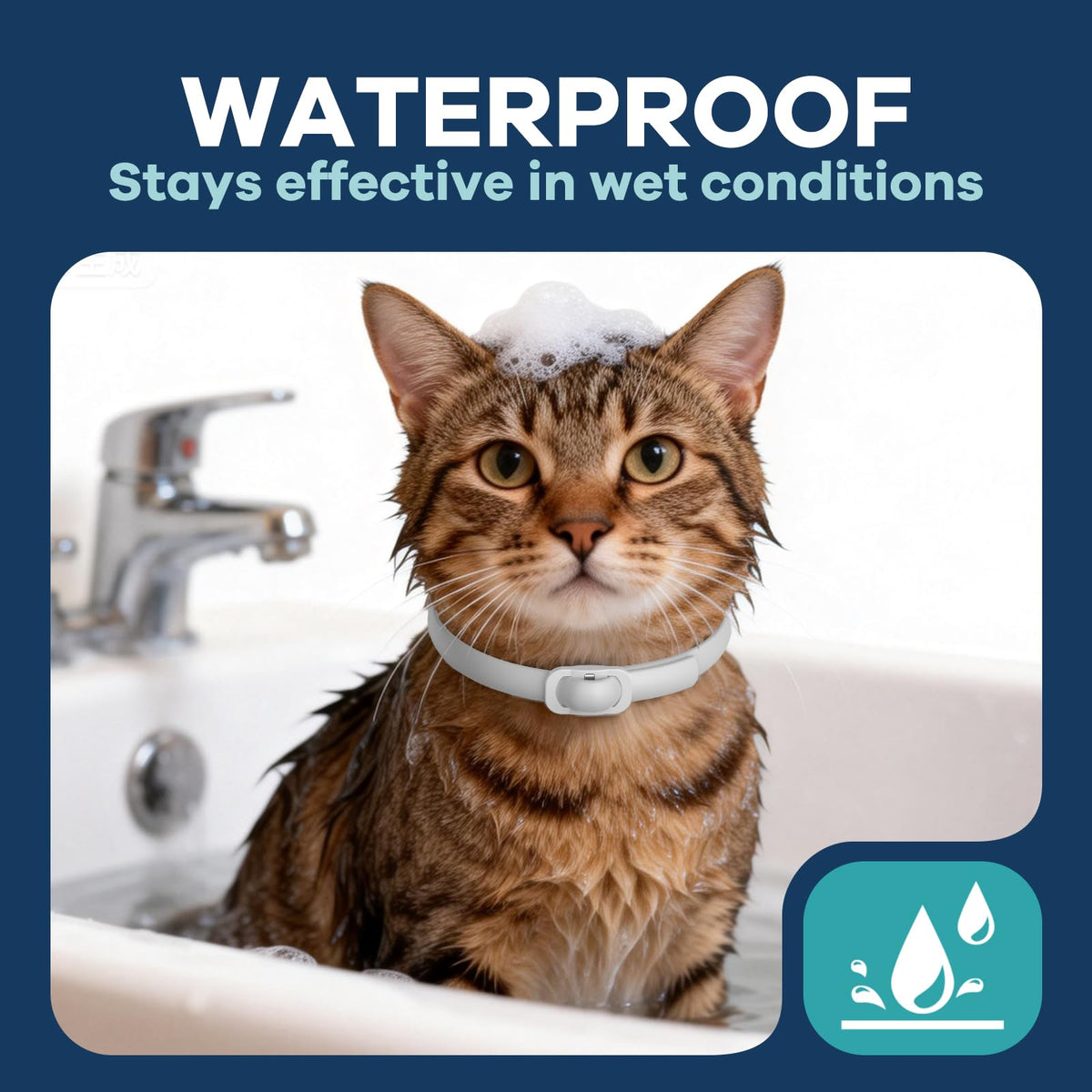White 5 Pack Adjustable Water-Resistant Flea and Tick Cat Collar Q626669