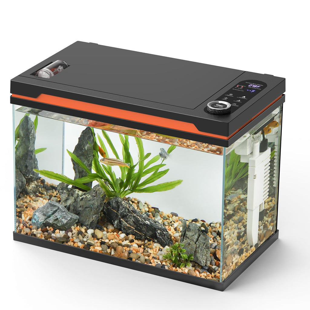 10 Gallon Glass Aquarium Starter Kit with Light Heater Pump Filter X574