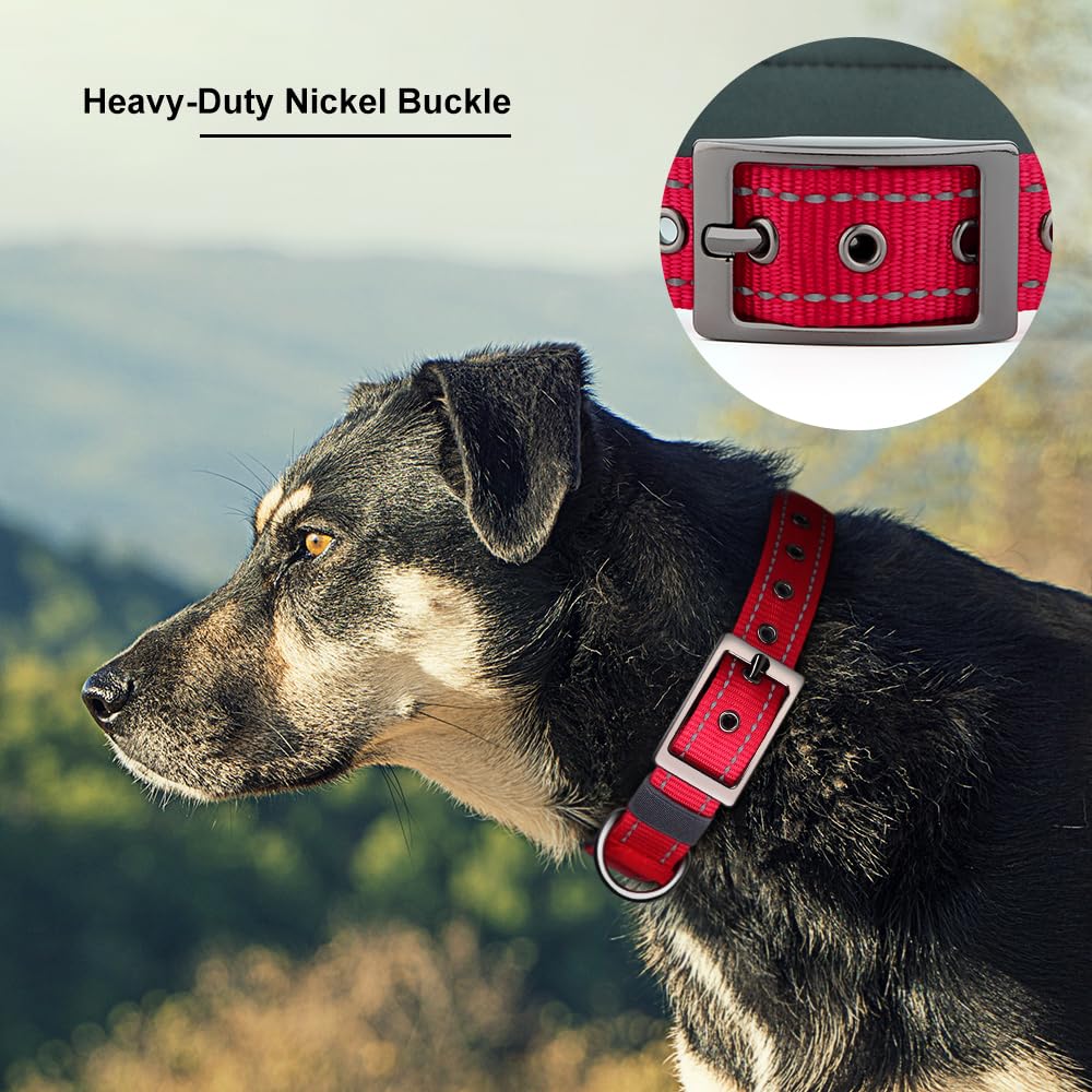 Personalized Dog Collar with Name and Number D916307