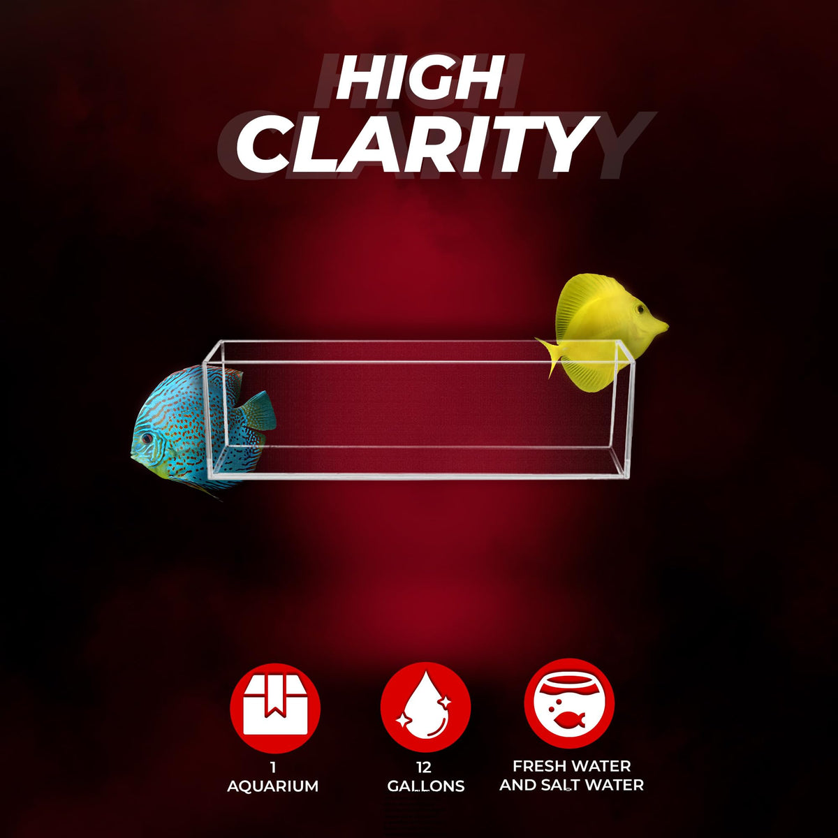 High Clarity Glass 12 gal Fish Tank M581564