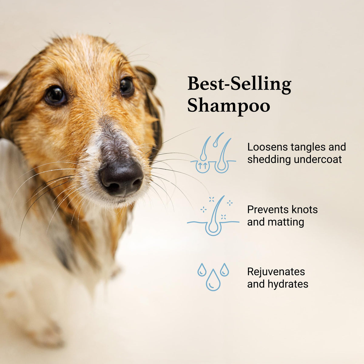 Deshedding & Detangling Dog Shampoo 1 GAL D9983