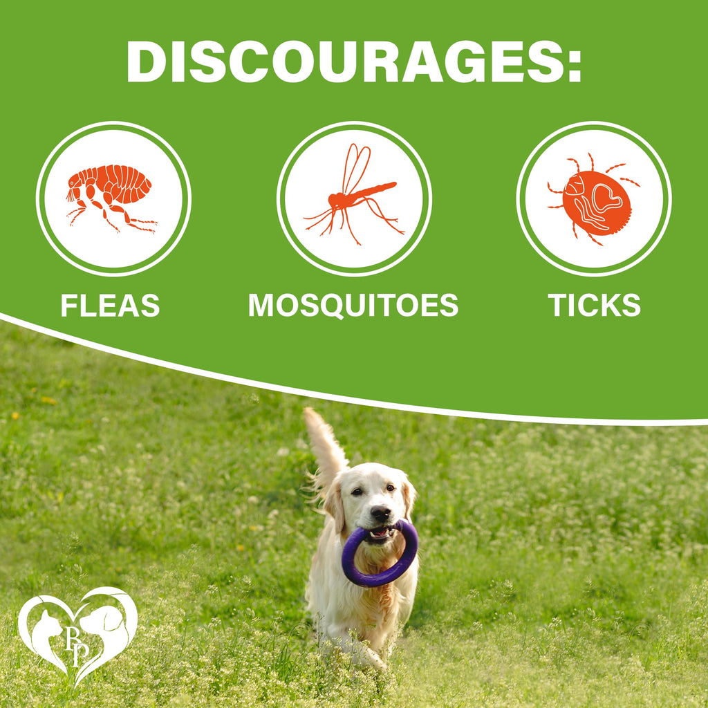 Chewable Flea and Tick Prevention Pills for Dogs J898514