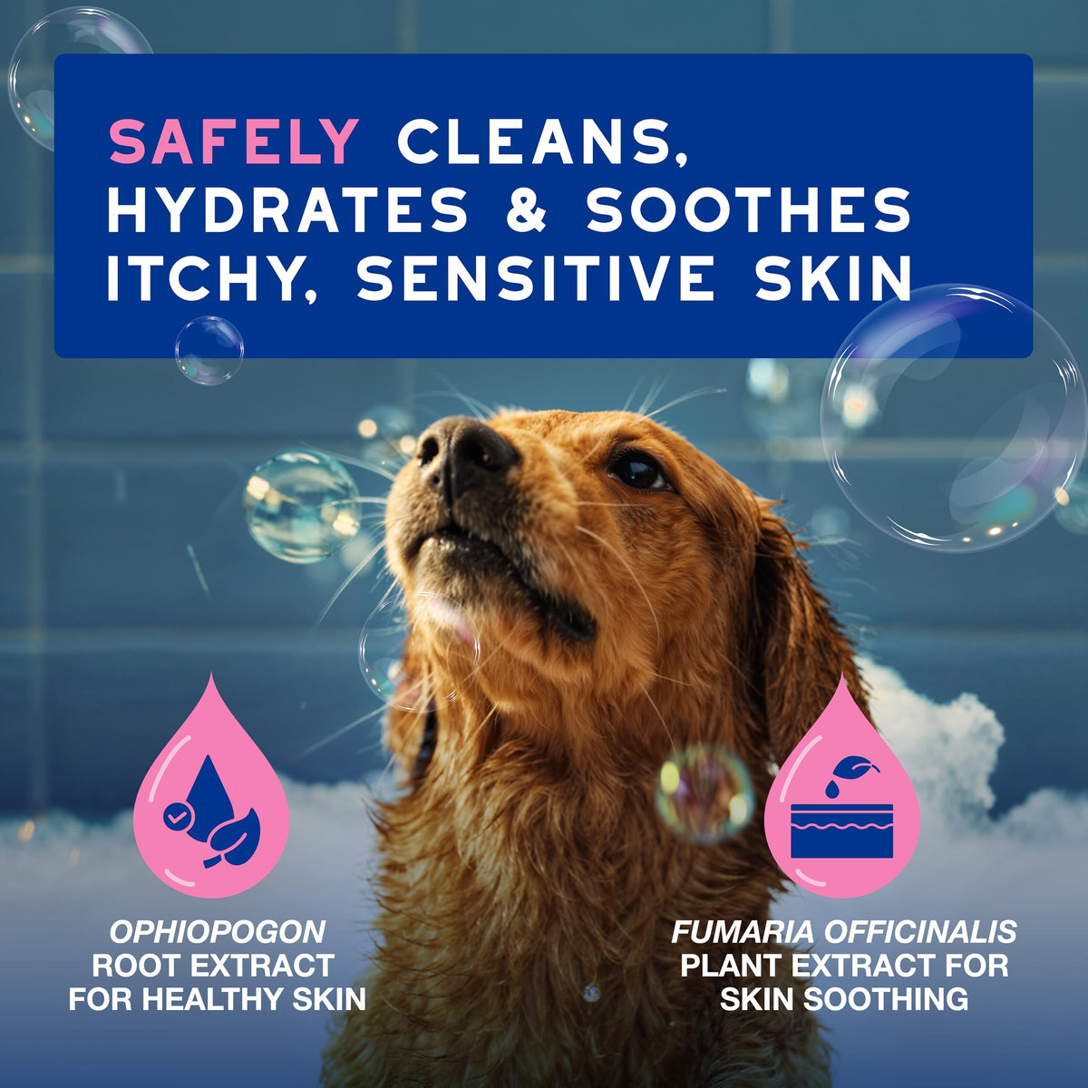 Dog Shampoo for Sensitive Skin, 16 fl oz J755