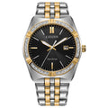 Two-Tone Stainless Steel Diamond Bezel Watch J4276