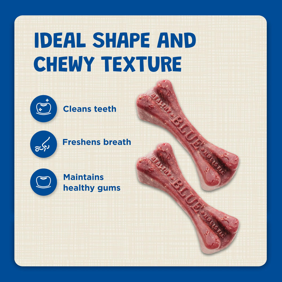 Dental Bones 36 oz T150845
