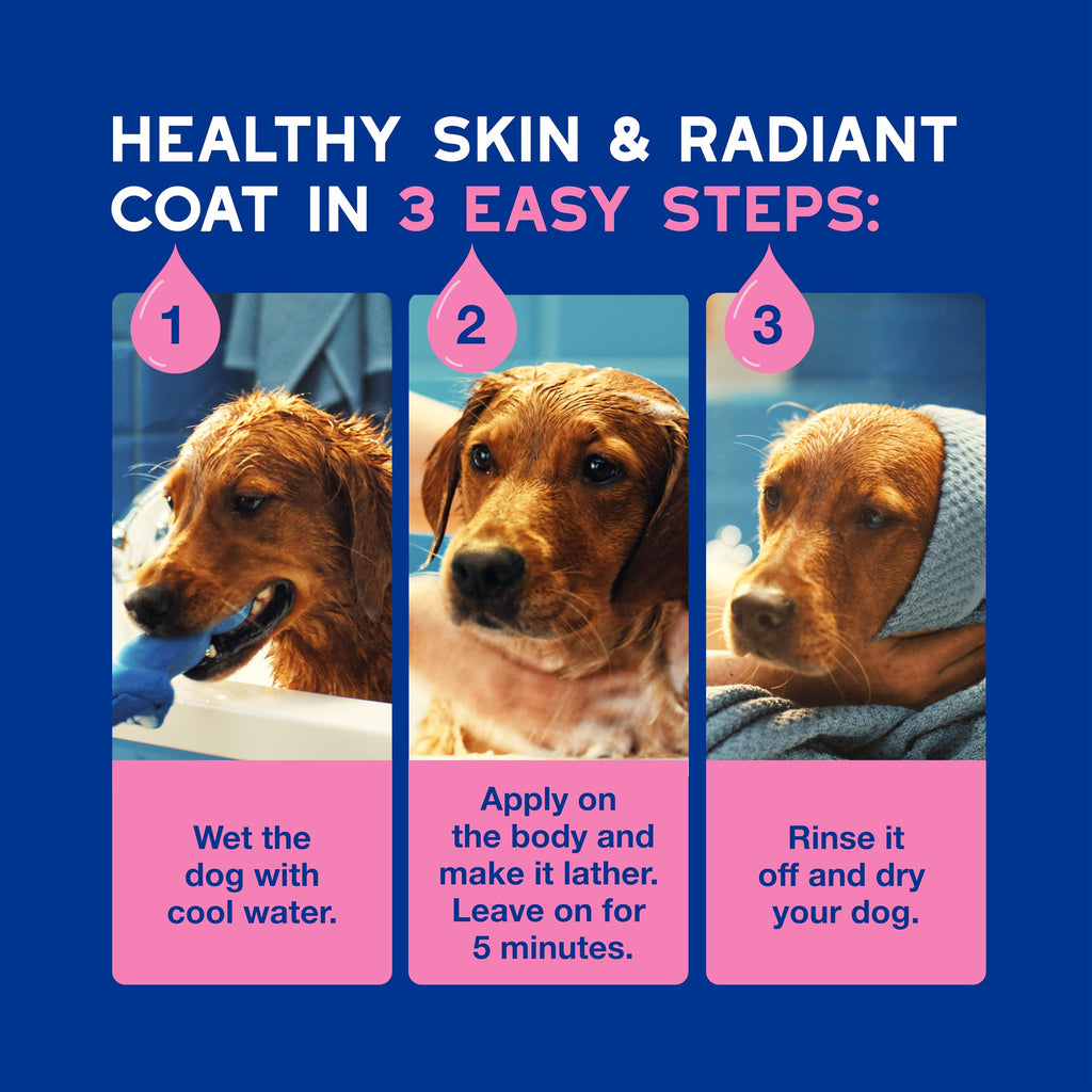 Dog Shampoo for Sensitive Skin, 16 fl oz J755