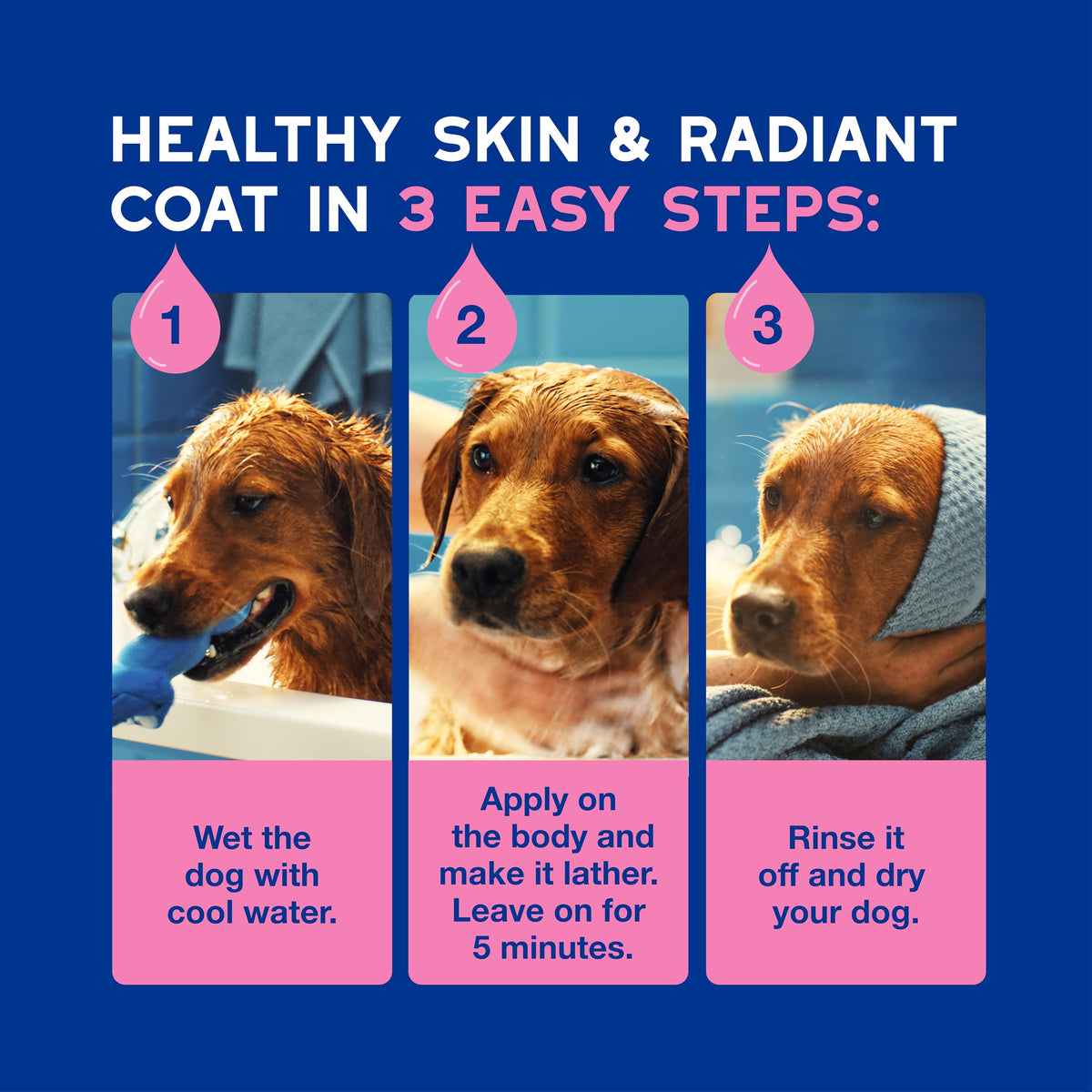 Dog Shampoo for Sensitive Skin, 16 fl oz J755