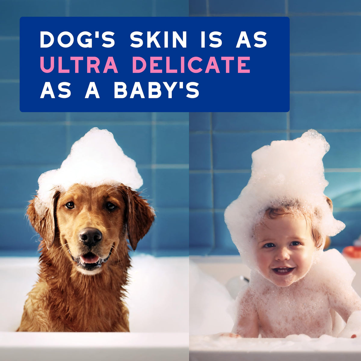 Dog Shampoo for Sensitive Skin, 16 fl oz J755