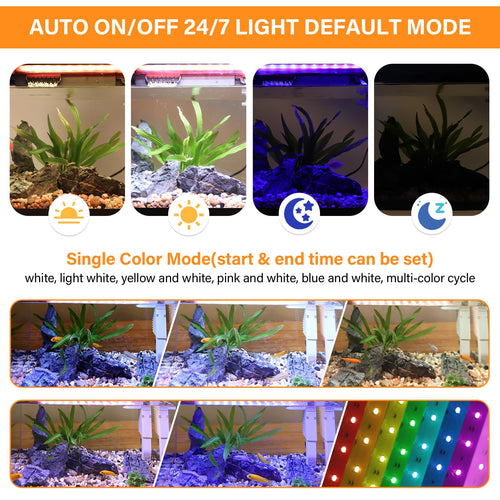 10 Gallon Glass Aquarium Starter Kit with Light Heater Pump Filter X574