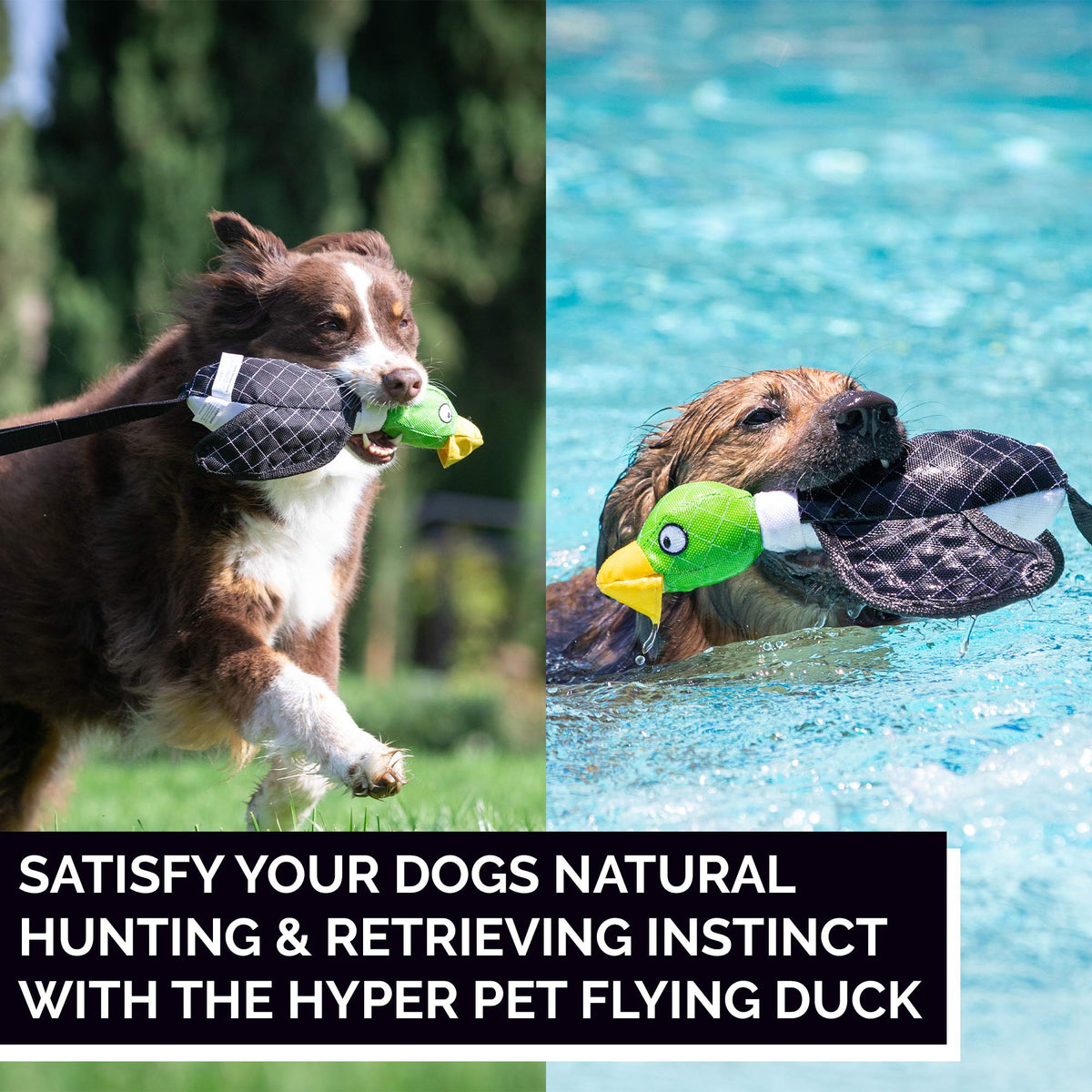 Large Duck Slingshot Fetching Dog Toy F676058