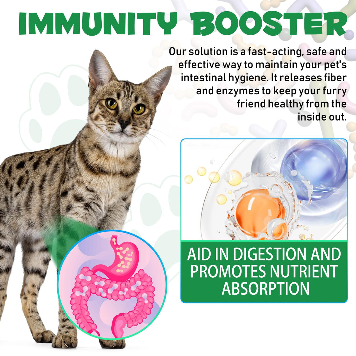 Probiotic Digestive Support for Cats J824859