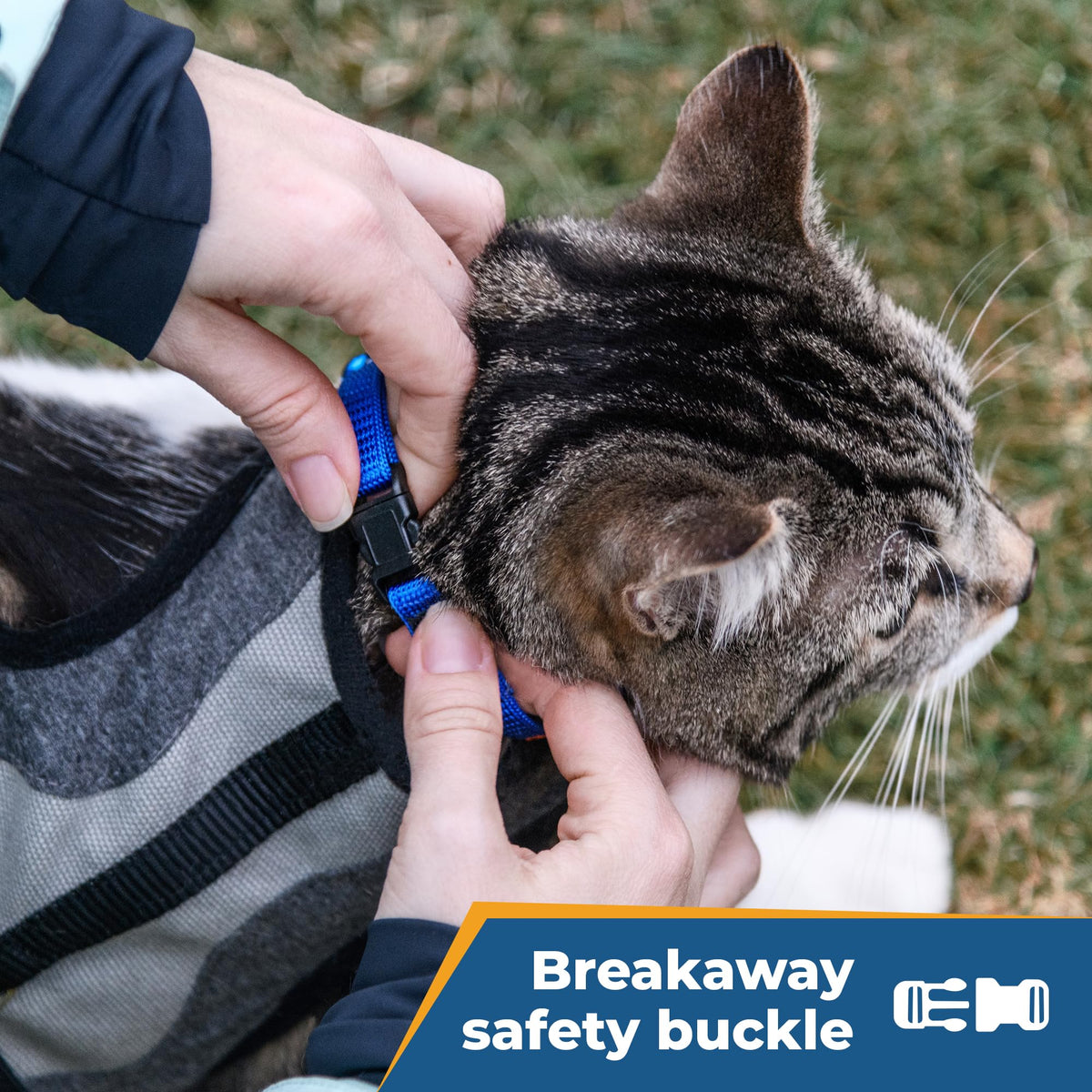 Personalized Cat Collars with Breakaway Safety Release Buckle P906