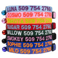 Personalized Cat Collars with Breakaway Safety Release Buckle P906