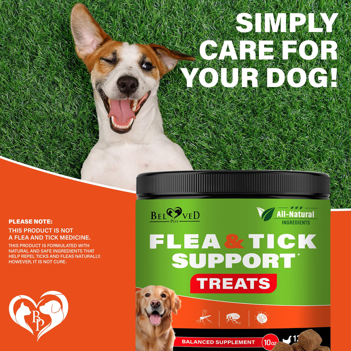 Chewable Flea and Tick Prevention Pills for Dogs J898514