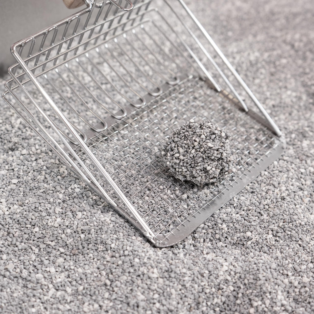Unscented Clumping Bentonite Clay Cat Litter Set of 2 F22526