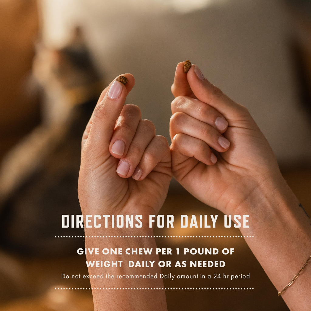 Cat Allergy Relief Chews with Probiotics & Fish Oil D558